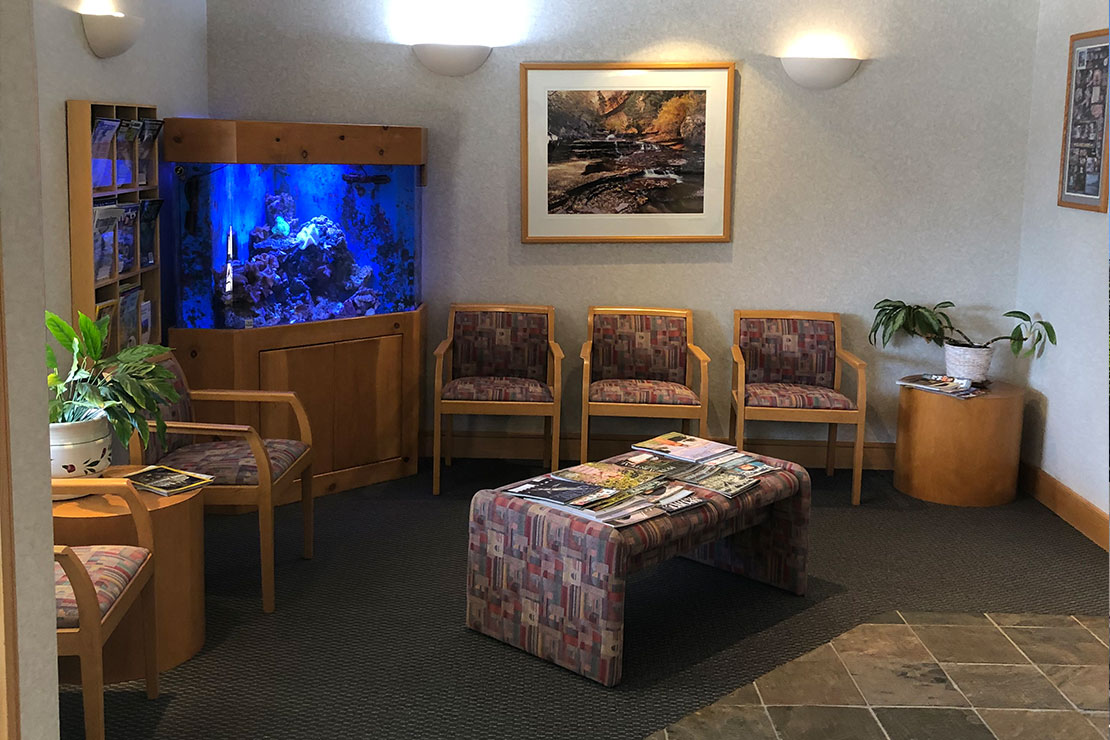 Endodontics Office Tour